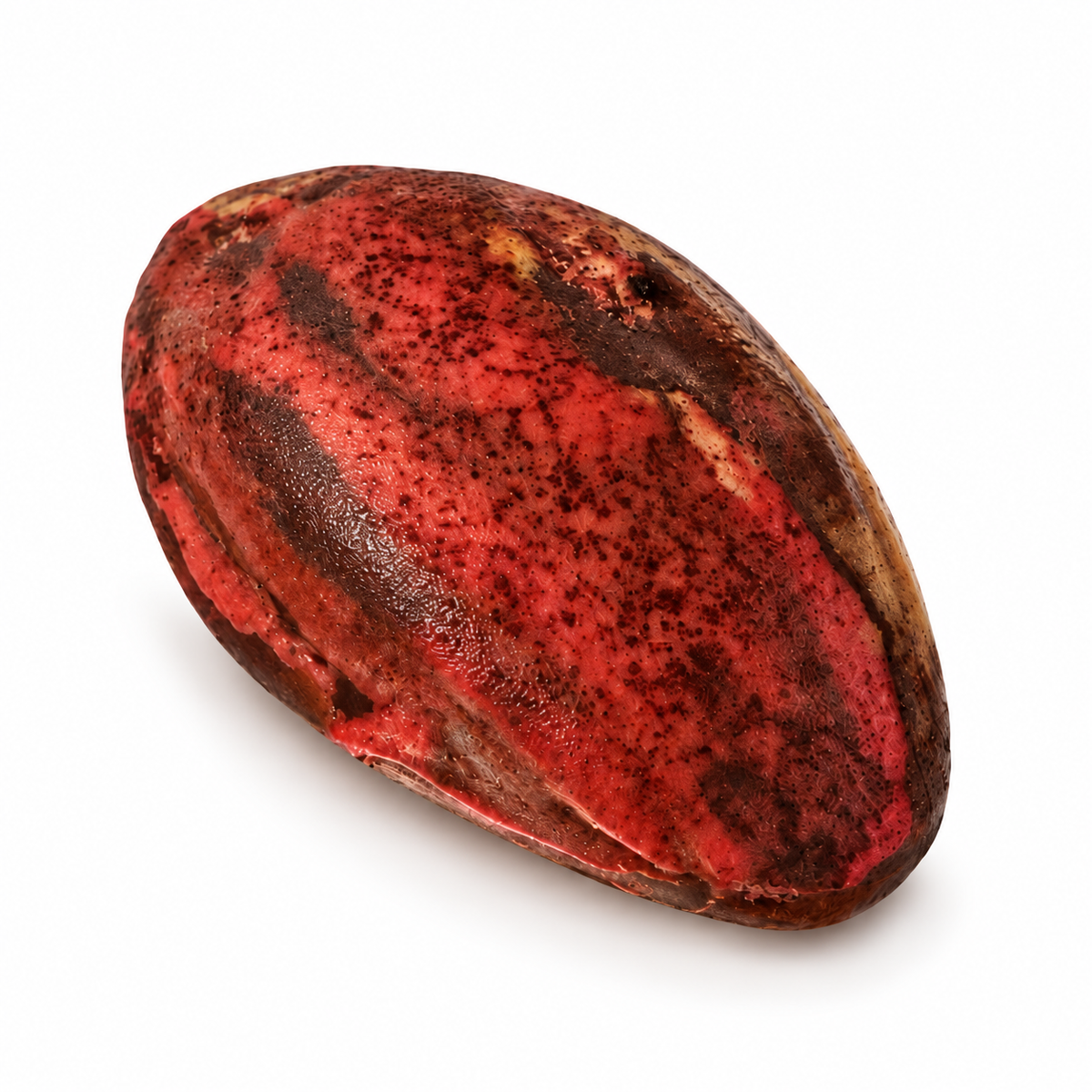Trompe l’œil Cabosse Chocolat